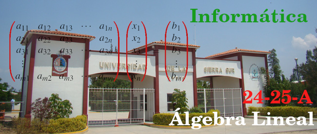 Álgebra Lineal-306