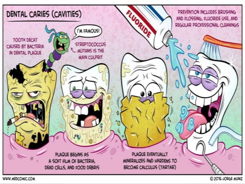 Bioquímica Aplicada a la Odontología-113-C