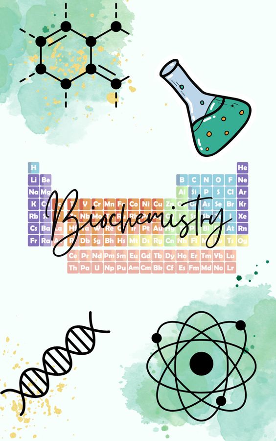 Bioquímica Básica-216-B