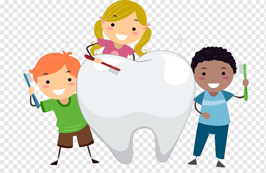 Odontopediatría I-813-B