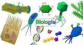 Biología-P113-G