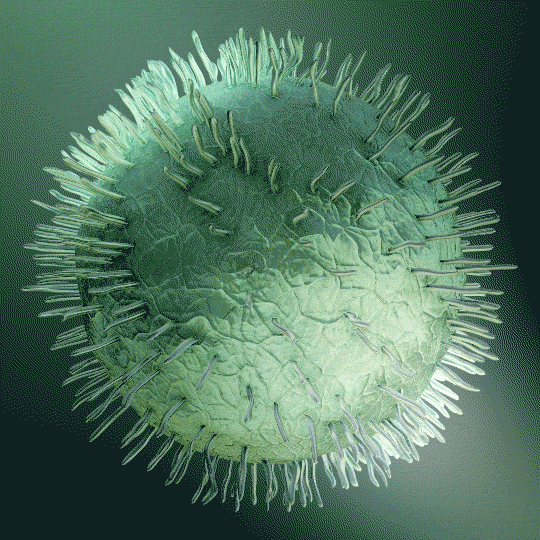 Microbiología y Parasitología-203-F