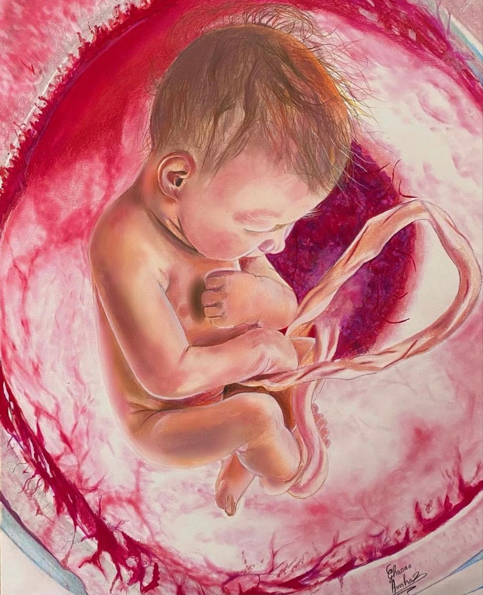 Obstetricia-814-A